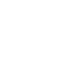 Players Icon